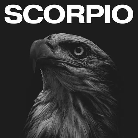 Scorpio cover